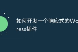 如何开发一个响应式的WordPress插件