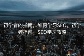初学者的指南，如何学习SEO，初学者指南，SEO学习攻略