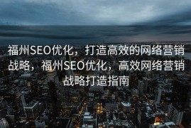 福州SEO优化，打造高效的网络营销战略，福州SEO优化，高效网络营销战略打造指南