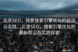 北京SEO，探索搜索引擎优化的前沿与实践，北京SEO，搜索引擎优化的最新前沿与实践探索