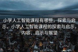 小学人工智能课程有哪些，探索与启示，小学人工智能课程的探索与启示，内容、启示与展望