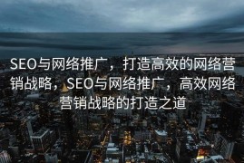 SEO与网络推广，打造高效的网络营销战略，SEO与网络推广，高效网络营销战略的打造之道