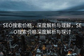 SEO搜索价格，深度解析与理解，SEO搜索价格深度解析与探讨