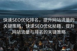 快速SEO优化排名，提升网站流量的关键策略，快速SEO优化秘籍，提升网站流量与排名的关键策略