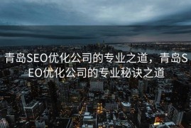 青岛SEO优化公司的专业之道，青岛SEO优化公司的专业秘诀之道