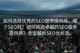 如何选择优秀的SEO服务提供商，哪个SEO好？如何挑选卓越的SEO服务提供商？全面解析SEO优劣选。
