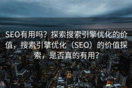 SEO有用吗？探索搜索引擎优化的价值，搜索引擎优化（SEO）的价值探索，是否真的有用？