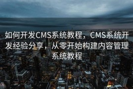 如何开发CMS系统教程，CMS系统开发经验分享，从零开始构建内容管理系统教程