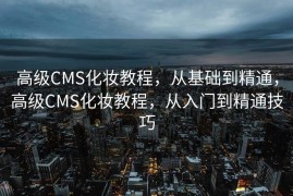 高级CMS化妆教程，从基础到精通，高级CMS化妆教程，从入门到精通技巧