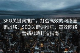 SEO关键词推广，打造高效的网络营销战略，SEO关键词推广，高效网络营销战略打造指南