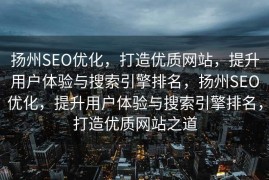 扬州SEO优化，打造优质网站，提升用户体验与搜索引擎排名，扬州SEO优化，提升用户体验与搜索引擎排名，打造优质网站之道