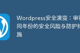 Wordpress安全演变：审视不同年份的安全风险与防护措施