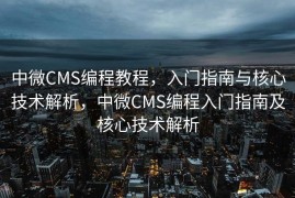 中微CMS编程教程，入门指南与核心技术解析，中微CMS编程入门指南及核心技术解析