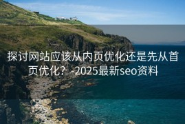 探讨网站应该从内页优化还是先从首页优化？-2025最新seo资料