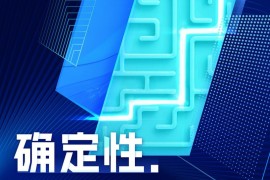 确定性：数字时代的品牌营销-2025最新seo资料