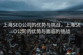 上海SEO公司的优势与挑战，上海SEO公司的优势与面临的挑战