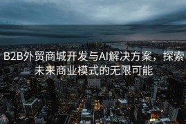 B2B外贸商城开发与AI解决方案，探索未来商业模式的无限可能