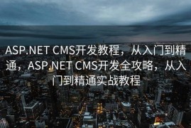 ASP.NET CMS开发教程，从入门到精通，ASP.NET CMS开发全攻略，从入门到精通实战教程