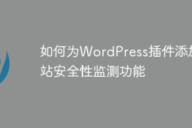 如何为WordPress插件添加网站安全性监测功能