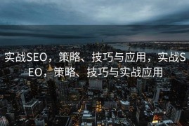 实战SEO，策略、技巧与应用，实战SEO，策略、技巧与实战应用