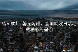 智AI成都·蓉光闪耀，全国助残日活动的精彩纷呈④