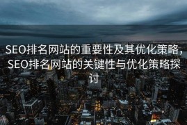 SEO排名网站的重要性及其优化策略，SEO排名网站的关键性与优化策略探讨