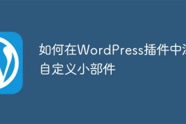 如何在WordPress插件中添加自定义小部件