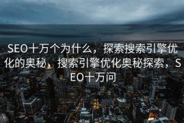 SEO十万个为什么，探索搜索引擎优化的奥秘，搜索引擎优化奥秘探索，SEO十万问