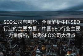 SEO公司有哪些，全面解析中国SEO行业的主要力量，中国SEO行业主要力量解析，优秀SEO公司大盘点