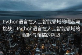 Python语言在人工智能领域的崛起与挑战，Python语言在人工智能领域的崛起与面临的挑战