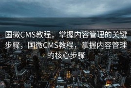国微CMS教程，掌握内容管理的关键步骤，国微CMS教程，掌握内容管理的核心步骤