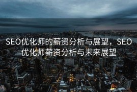 SEO优化师的薪资分析与展望，SEO优化师薪资分析与未来展望