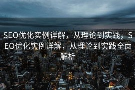 SEO优化实例详解，从理论到实践，SEO优化实例详解，从理论到实践全面解析