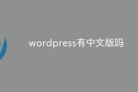 wordpress有中文版吗
