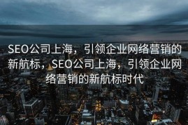 SEO公司上海，引领企业网络营销的新航标，SEO公司上海，引领企业网络营销的新航标时代