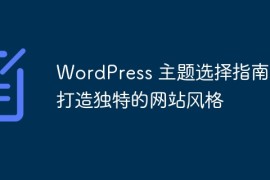 WordPress 主题选择指南：打造独特的网站风格