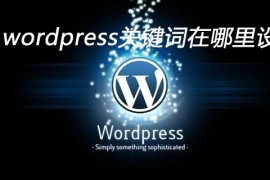 wordpress关键词在哪里设置