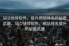 SEO快排软件，提升网站排名的秘密武器，SEO快排软件，网站排名提升的秘密武器