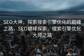 SEO大神，探索搜索引擎优化的巅峰之路，SEO巅峰探索，搜索引擎优化大师之路