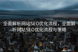 全面解析网站SEO优化流程，全面解析网站SEO优化流程与策略