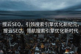 搜云SEO，引领搜索引擎优化新纪元，搜云SEO，领航搜索引擎优化新时代