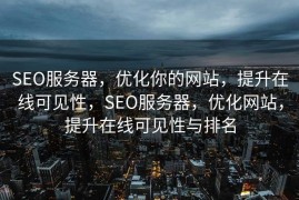 SEO服务器，优化你的网站，提升在线可见性，SEO服务器，优化网站，提升在线可见性与排名