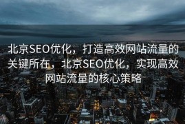 北京SEO优化，打造高效网站流量的关键所在，北京SEO优化，实现高效网站流量的核心策略