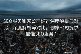 SEO服务哪家公司好？深度解析与对比，深度解析与对比，哪家公司提供最佳SEO服务？