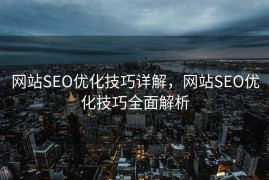 网站SEO优化技巧详解，网站SEO优化技巧全面解析