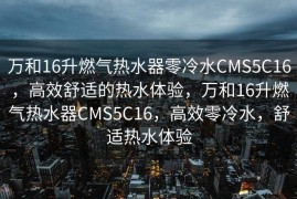 万和16升燃气热水器零冷水CMS5C16，高效舒适的热水体验，万和16升燃气热水器CMS5C16，高效零冷水，舒适热水体验