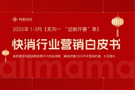 阿里妈妈:2025快消行业营销白皮书-2025最新seo资料