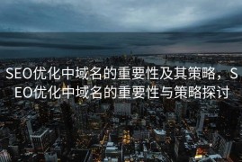 SEO优化中域名的重要性及其策略，SEO优化中域名的重要性与策略探讨