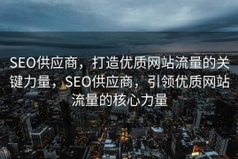 SEO供应商，打造优质网站流量的关键力量，SEO供应商，引领优质网站流量的核心力量