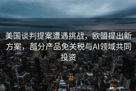 美国谈判提案遭遇挑战，欧盟提出新方案，部分产品免关税与AI领域共同投资